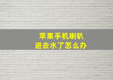 苹果手机喇叭进去水了怎么办