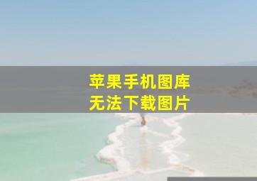 苹果手机图库无法下载图片