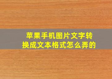 苹果手机图片文字转换成文本格式怎么弄的