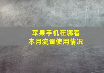 苹果手机在哪看本月流量使用情况