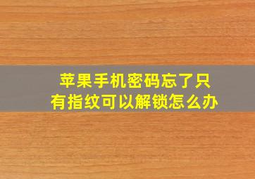 苹果手机密码忘了只有指纹可以解锁怎么办