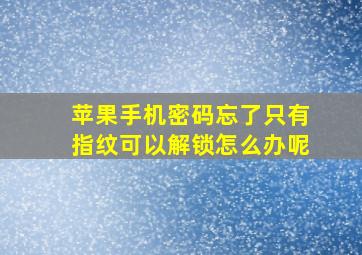 苹果手机密码忘了只有指纹可以解锁怎么办呢