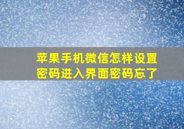 苹果手机微信怎样设置密码进入界面密码忘了