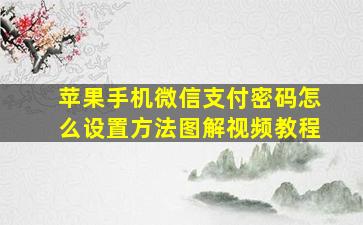 苹果手机微信支付密码怎么设置方法图解视频教程