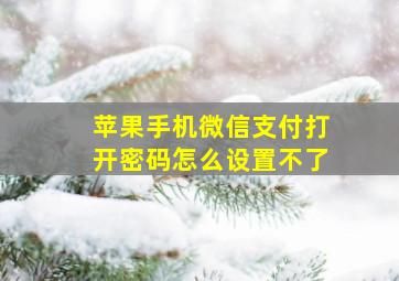 苹果手机微信支付打开密码怎么设置不了