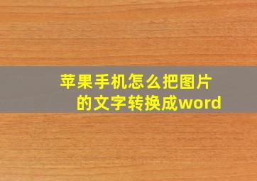 苹果手机怎么把图片的文字转换成word