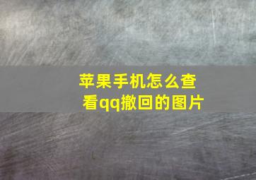 苹果手机怎么查看qq撤回的图片