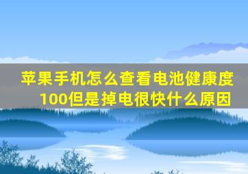 苹果手机怎么查看电池健康度100但是掉电很快什么原因