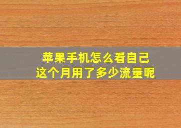 苹果手机怎么看自己这个月用了多少流量呢