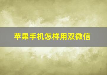 苹果手机怎样用双微信