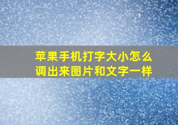 苹果手机打字大小怎么调出来图片和文字一样