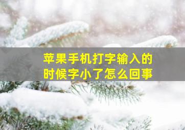 苹果手机打字输入的时候字小了怎么回事