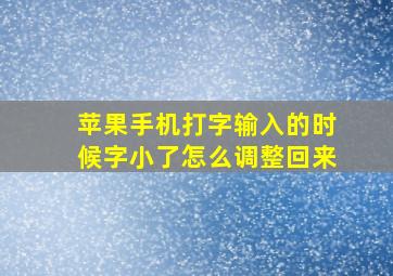 苹果手机打字输入的时候字小了怎么调整回来