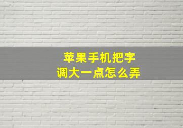 苹果手机把字调大一点怎么弄