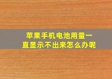 苹果手机电池用量一直显示不出来怎么办呢