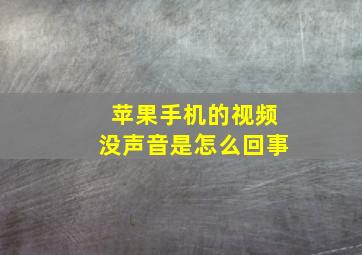 苹果手机的视频没声音是怎么回事