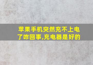 苹果手机突然充不上电了咋回事,充电器是好的