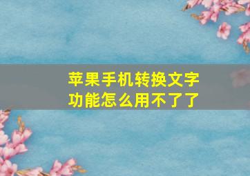 苹果手机转换文字功能怎么用不了了