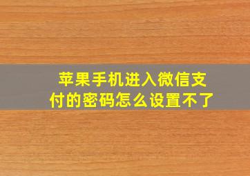 苹果手机进入微信支付的密码怎么设置不了