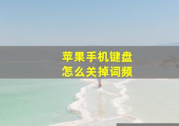 苹果手机键盘怎么关掉词频