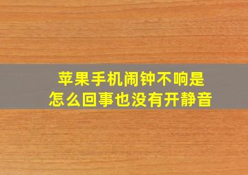 苹果手机闹钟不响是怎么回事也没有开静音