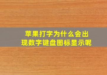 苹果打字为什么会出现数字键盘图标显示呢