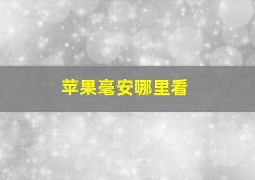 苹果毫安哪里看