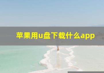 苹果用u盘下载什么app