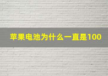 苹果电池为什么一直是100