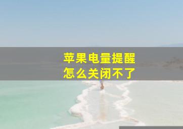 苹果电量提醒怎么关闭不了