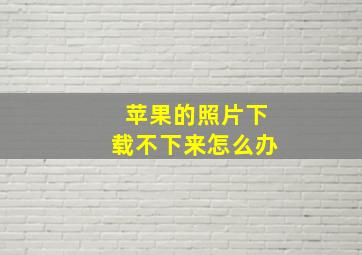 苹果的照片下载不下来怎么办