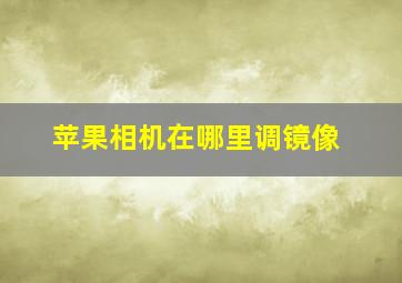 苹果相机在哪里调镜像