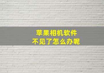 苹果相机软件不见了怎么办呢