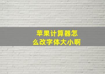 苹果计算器怎么改字体大小啊