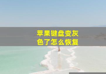 苹果键盘变灰色了怎么恢复