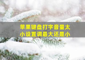 苹果键盘打字音量太小设置调最大还是小