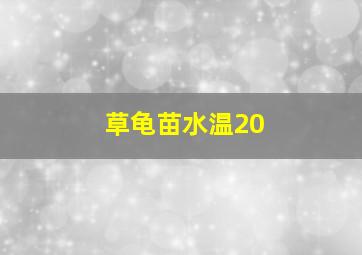 草龟苗水温20