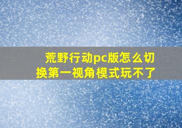 荒野行动pc版怎么切换第一视角模式玩不了