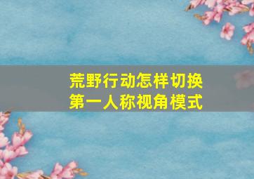 荒野行动怎样切换第一人称视角模式