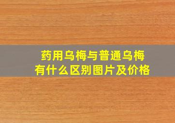 药用乌梅与普通乌梅有什么区别图片及价格