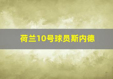 荷兰10号球员斯内德