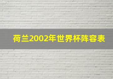 荷兰2002年世界杯阵容表