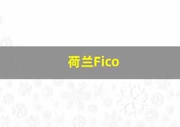 荷兰Fico