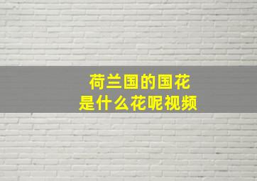 荷兰国的国花是什么花呢视频