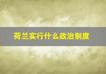 荷兰实行什么政治制度