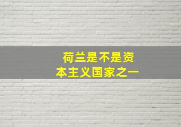 荷兰是不是资本主义国家之一