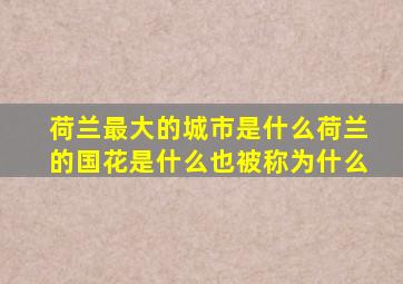 荷兰最大的城市是什么荷兰的国花是什么也被称为什么