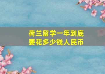 荷兰留学一年到底要花多少钱人民币