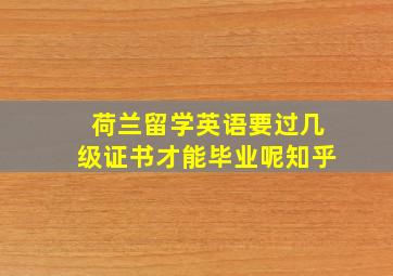 荷兰留学英语要过几级证书才能毕业呢知乎