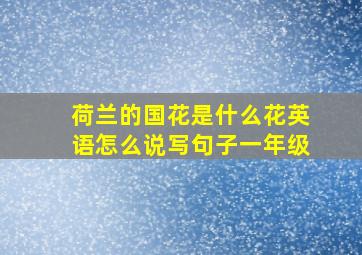 荷兰的国花是什么花英语怎么说写句子一年级